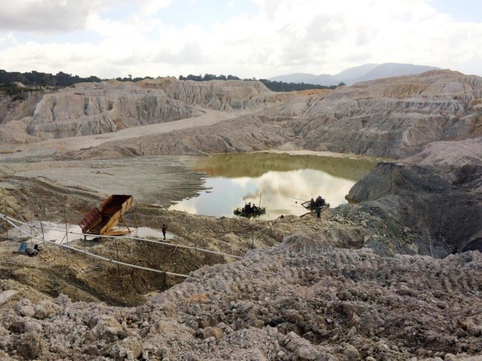 Gold mining restricts Amazon rainforest recovery