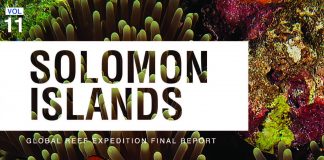 The state of coral reefs in the Solomon Islands (Study) The state of coral reefs in the Solomon Islands