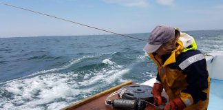 Maryland offshore wind farm could become stop-over for migrating sturgeon, striped bass (Study) Maryland offshore wind farm could become stop-over for migrating sturgeon, striped bass