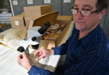 No leg to stand on for Australia’s flamingos (Study) No leg to stand on for Australia's flamingos