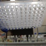 Brazilian startup seeks to develop a wholly indigenous COVID-19 diagnostic test Brazilian startup seeks to develop a wholly indigenous COVID-19 diagnostic test