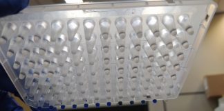 Brazilian startup seeks to develop a wholly indigenous COVID-19 diagnostic test Brazilian startup seeks to develop a wholly indigenous COVID-19 diagnostic test