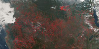 Agricultural fires in central Africa light up in Suomi NPP satellite image (Study) Agricultural fires in central Africa light up in Suomi NPP satellite image