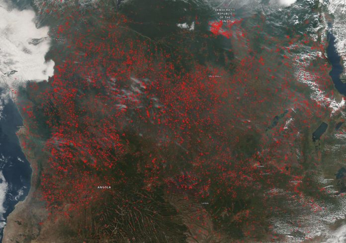 Agricultural fires in central Africa light up in Suomi NPP satellite image