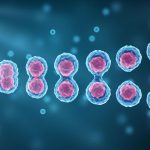 USC scientists examine the impact of a very specific defect in DNA replication USC scientists examine the impact of a very specific defect in DNA replication