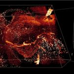Team dramatically reduces image analysis times using deep learning, other approaches Team dramatically reduces image analysis times using deep learning, other approaches