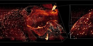 Team dramatically reduces image analysis times using deep learning, other approaches Team dramatically reduces image analysis times using deep learning, other approaches
