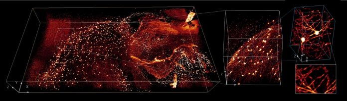 Team dramatically reduces image analysis times using deep learning, other approaches