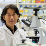 New treatment for common form of muscular dystrophy shows promise in cells, animals New treatment for common form of muscular dystrophy shows promise in cells, animals