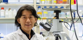 New treatment for common form of muscular dystrophy shows promise in cells, animals New treatment for common form of muscular dystrophy shows promise in cells, animals