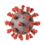 Salk researchers accelerate, expand COVID-19 research Salk researchers accelerate, expand COVID-19 research