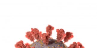 Salk researchers accelerate, expand COVID-19 research Salk researchers accelerate, expand COVID-19 research