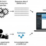 HKUST sets up a platform of vaccine target recommendations for COVID-19 HKUST sets up a platform of vaccine target recommendations for COVID-19