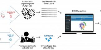 HKUST sets up a platform of vaccine target recommendations for COVID-19 HKUST sets up a platform of vaccine target recommendations for COVID-19
