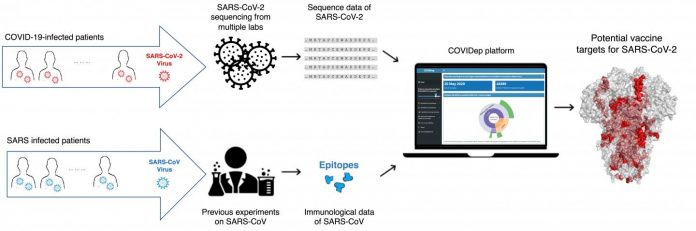 HKUST sets up a platform of vaccine target recommendations for COVID-19