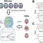 Functional in silico dissection of the brain during the natural wake-sleep cycle Functional in silico dissection of the brain during the natural wake-sleep cycle