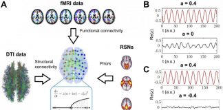 Functional in silico dissection of the brain during the natural wake-sleep cycle Functional in silico dissection of the brain during the natural wake-sleep cycle