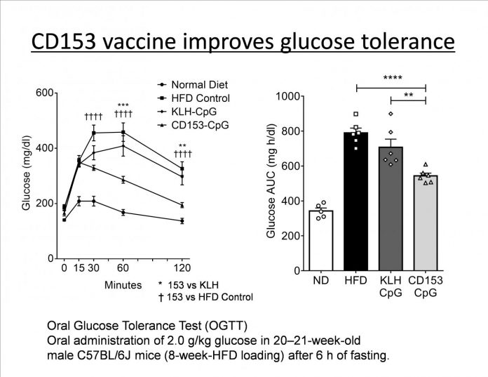 A vaccine targeting aged cells mitigates metabolic disorders in obese mice