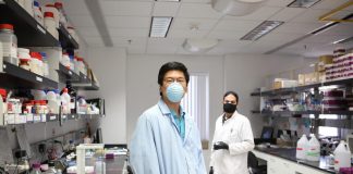 UTEP research reveals more about path bacterial pathogen travels to cause tuberculosis UTEP research reveals more about path bacterial pathogen travels to cause tuberculosis