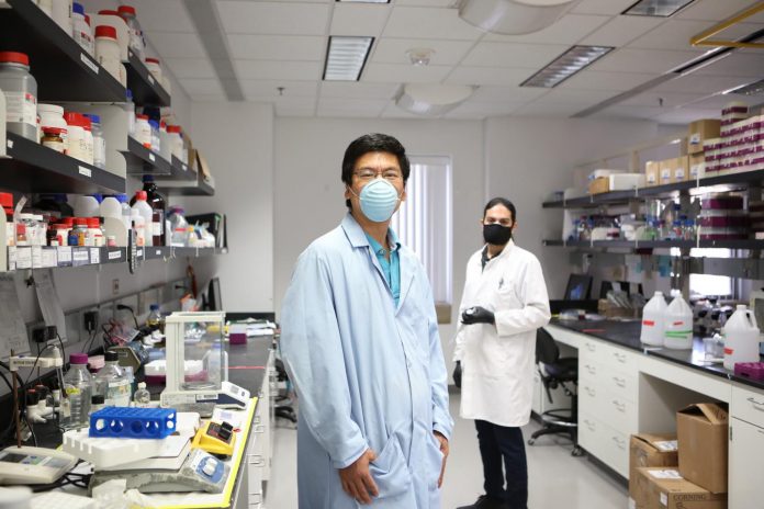 UTEP research reveals more about path bacterial pathogen travels to cause tuberculosis