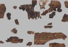 Ancient DNA uncovers Dead Sea Scrolls mystery Ancient DNA uncovers Dead Sea Scrolls mystery