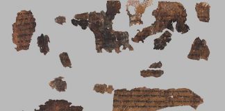 Ancient DNA uncovers Dead Sea Scrolls mystery Ancient DNA uncovers Dead Sea Scrolls mystery
