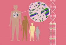 Ancient disease may increase resilience to bubonic plague (Study) Ancient disease may increase resilience to bubonic plague