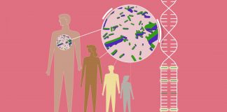 Ancient disease may increase resilience to bubonic plague (Study) Ancient disease may increase resilience to bubonic plague