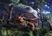 Armored dinosaur’s last meal preserved in stunning detail, Researchers Say Armored dinosaur's last meal preserved in stunning detail, Researchers Say