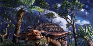 Armored dinosaur’s last meal preserved in stunning detail, Researchers Say Armored dinosaur's last meal preserved in stunning detail, Researchers Say