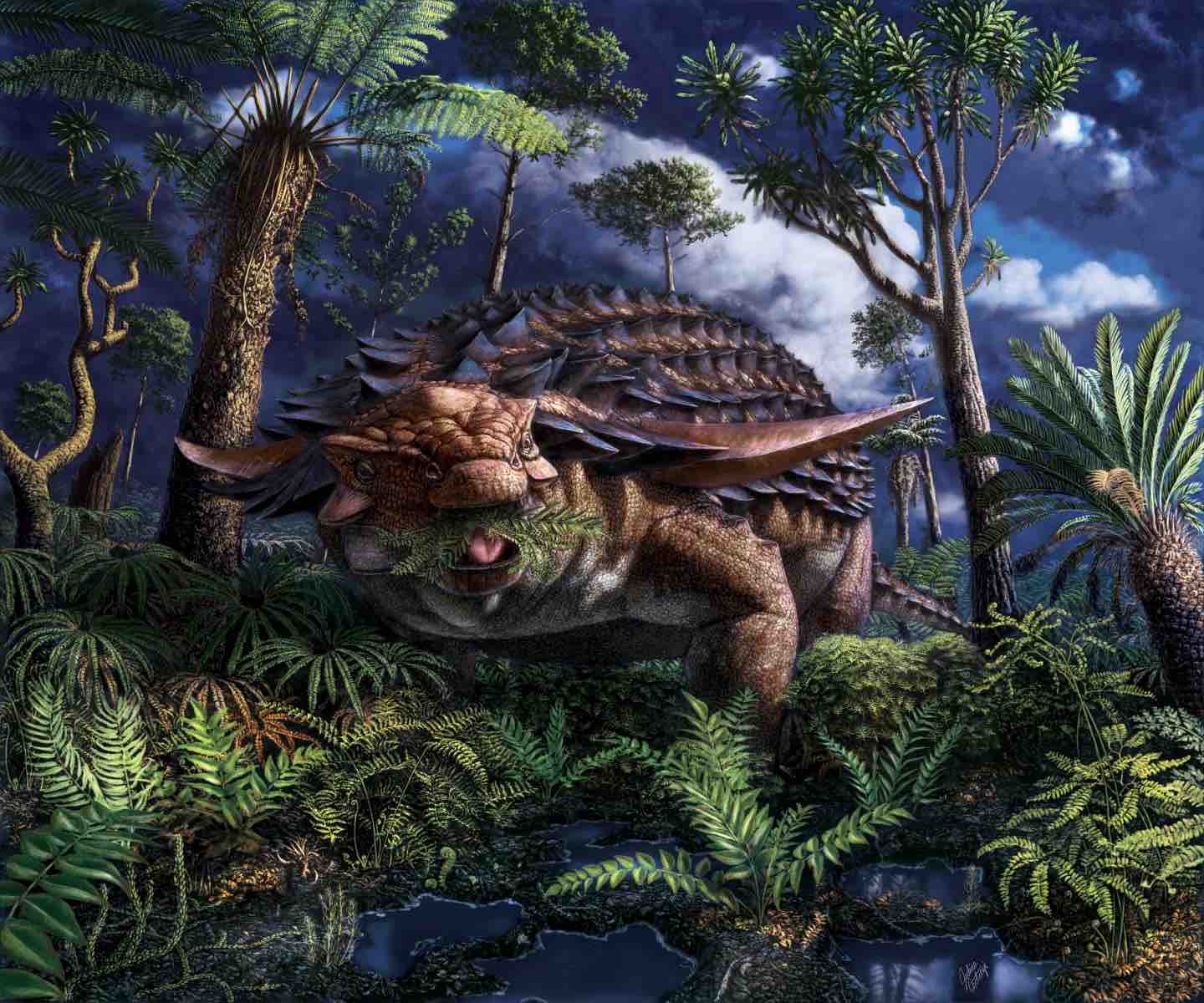 types of armored dinosaurs