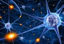 How does the brain link events to form a memory? research reveals unexpected mental processes How does the brain link events to form a memory? research reveals unexpected mental processes