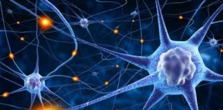 How does the brain link events to form a memory? research reveals unexpected mental processes How does the brain link events to form a memory? research reveals unexpected mental processes