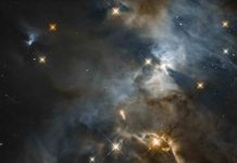 Hubble telescope spots a flapping bat signal in Outer Space Hubble telescope spots a flapping bat signal in Outer Space