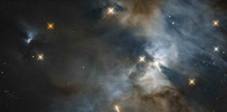 Hubble telescope spots a flapping bat signal in Outer Space Hubble telescope spots a flapping bat signal in Outer Space