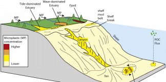Microplastic pollution accumulates heavily in coastal areas such as fjords and estuaries (Study) Microplastic pollution accumulates heavily in coastal areas such as fjords and estuaries