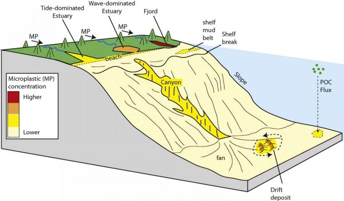 Microplastic pollution accumulates heavily in coastal areas such as fjords and estuaries