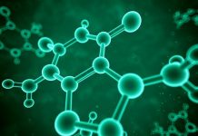 Report: ‘Fat burning’ molecule has implications for treatment of obesity Report: 'Fat burning' molecule has implications for treatment of obesity