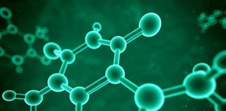Report: ‘Fat burning’ molecule has implications for treatment of obesity Report: 'Fat burning' molecule has implications for treatment of obesity
