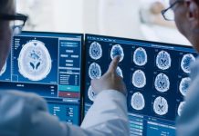 Report: Rife with obstacles and occlusions, terrestrial environments potentially helped give rise to planning circuits in the brain Report: Rife with obstacles and occlusions, terrestrial environments potentially helped give rise to planning circuits in the brain