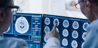 Report: Rife with obstacles and occlusions, terrestrial environments potentially helped give rise to planning circuits in the brain Report: Rife with obstacles and occlusions, terrestrial environments potentially helped give rise to planning circuits in the brain
