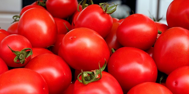 Report: Tomato's hidden mutations revealed in study of 100 varieties