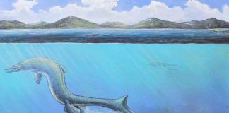 Scientists Solve Mystery Of The 66-Million-Year-Old Egg Found In Antarctica Scientists Solve Mystery Of The 66-Million-Year-Old Egg Found In Antarctica