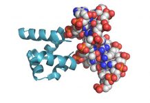 Study: An experiment in recreating primordial proteins solves a long-standing riddle Study: An experiment in recreating primordial proteins solves a long-standing riddle