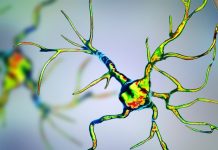 Study: Antisense oligonucleotide treatment cures Parkinson’s disease in mice Study: Antisense oligonucleotide treatment cures Parkinson’s disease in mice