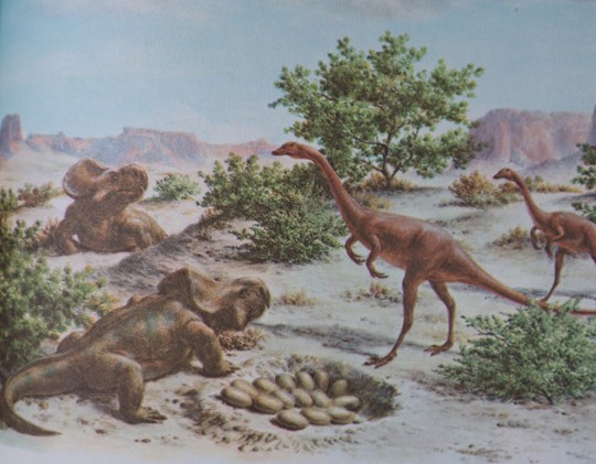 Study: Eggs of Earliest Dinosaurs Had Soft, Leathery Shells