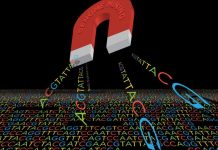Study: New approach drives bacteria to produce potential antibiotic, antiparasitic compounds Study: New approach drives bacteria to produce potential antibiotic, antiparasitic compounds
