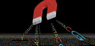 Study: New approach drives bacteria to produce potential antibiotic, antiparasitic compounds Study: New approach drives bacteria to produce potential antibiotic, antiparasitic compounds