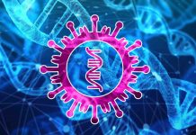 Study: Viruses Can Create Human-Virus Chimeric Proteins Study: Viruses Can Create Human-Virus Chimeric Proteins