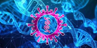 Study: Viruses Can Create Human-Virus Chimeric Proteins Study: Viruses Can Create Human-Virus Chimeric Proteins